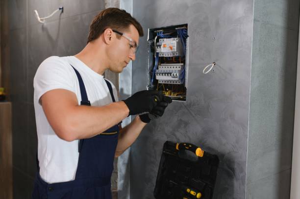 Best Electrical Upgrades for Homes  in Lambertville, MI